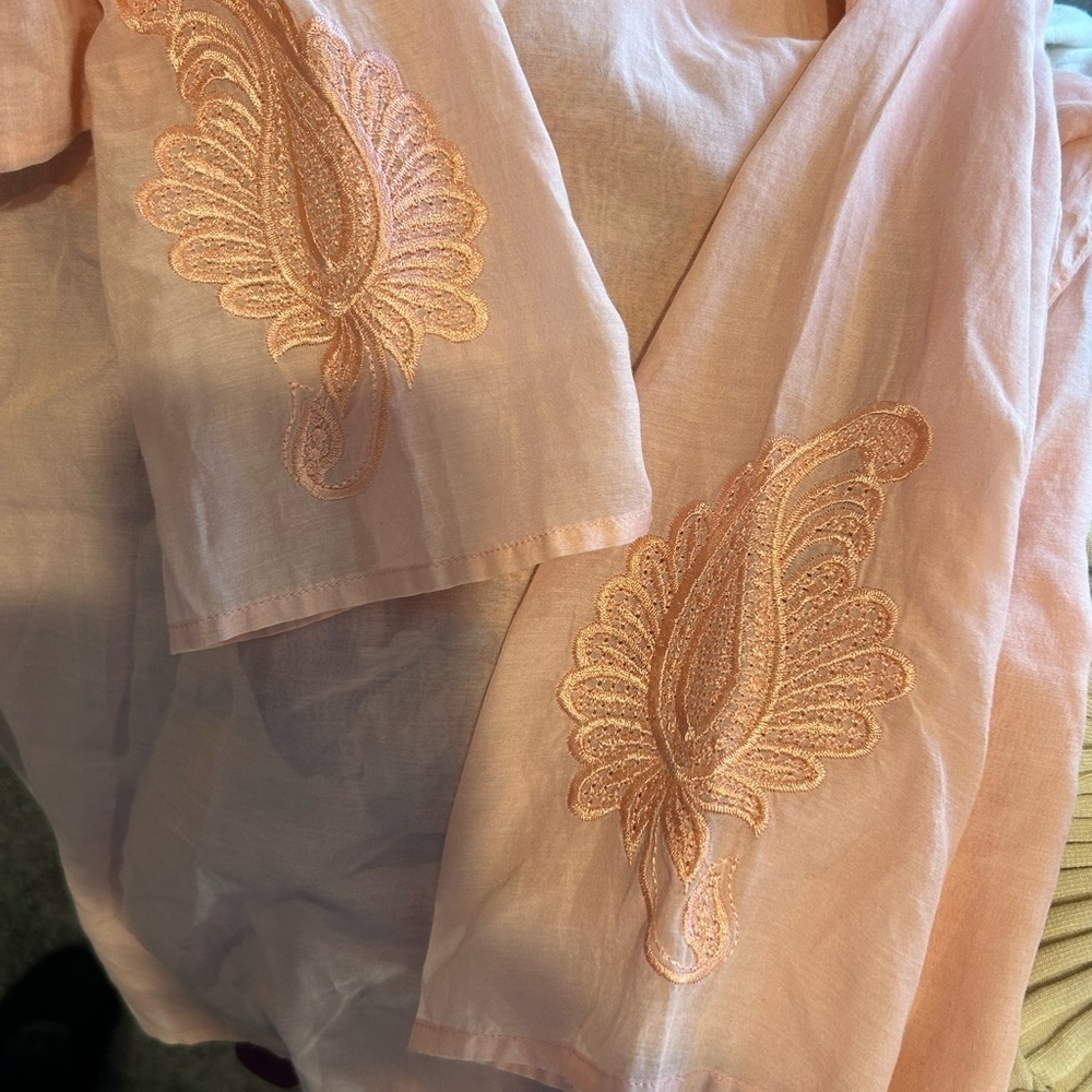 B3.39 Express salmon/peach color sheer top w/ embroidery on back& sleeves, - Picture 4 of 4